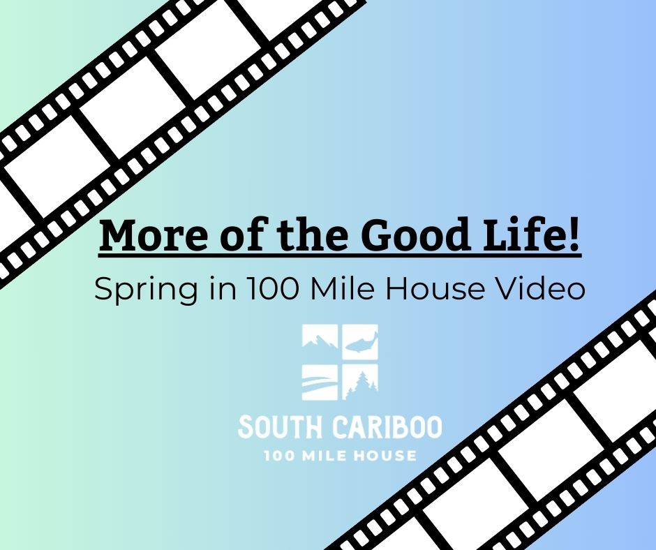 Spring Video Link