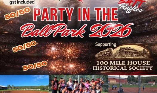 Poster - Party in the Park