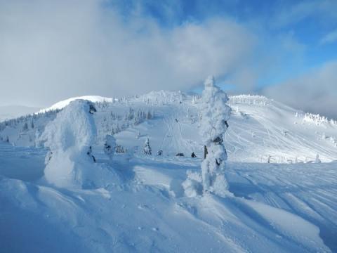 snowmobile membership ady