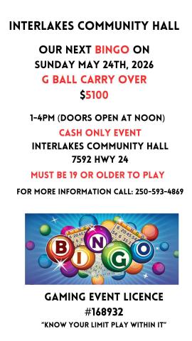 bingo poster