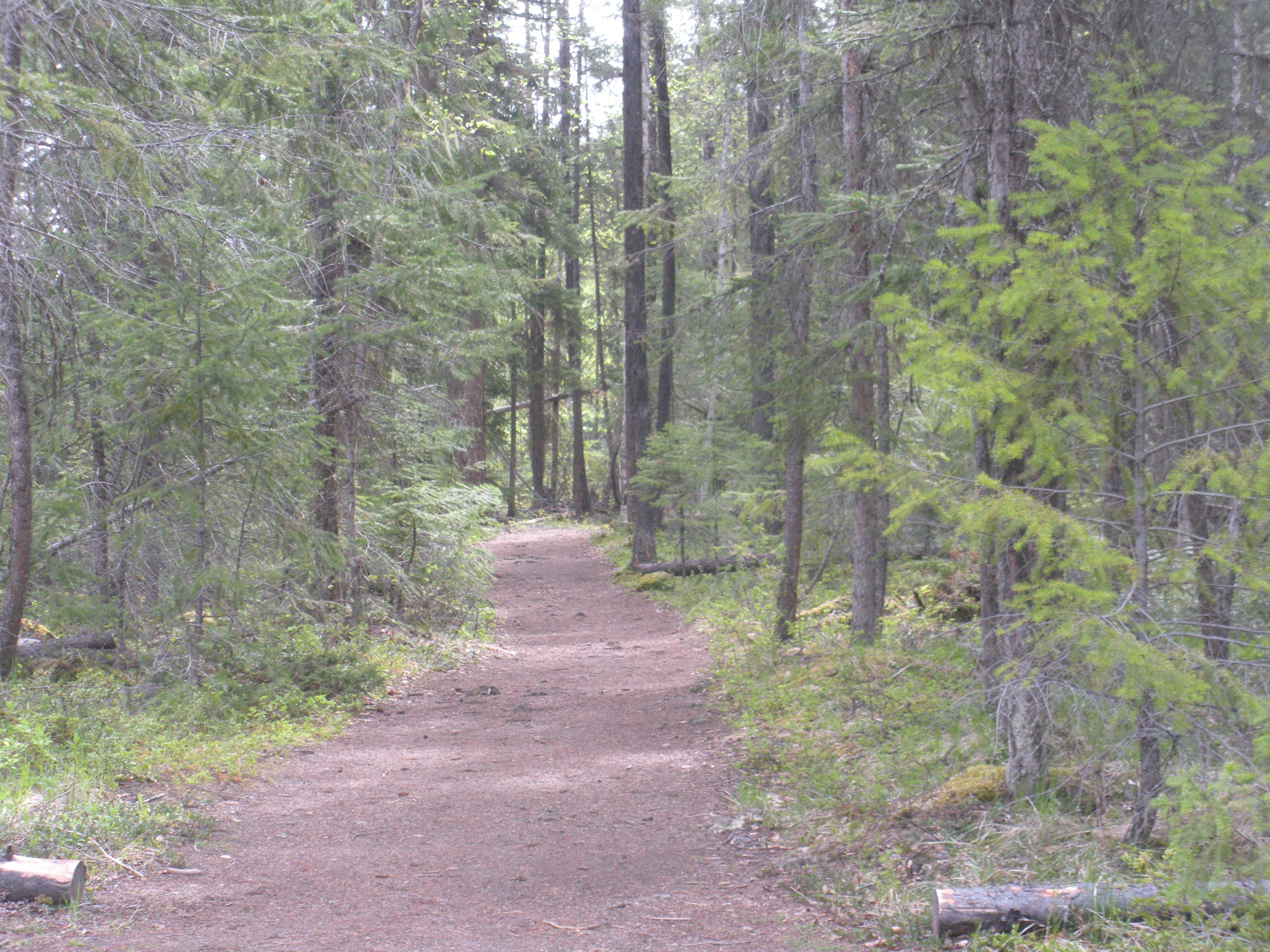 Canim-Mahood Trail