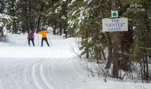 cross country skiiing