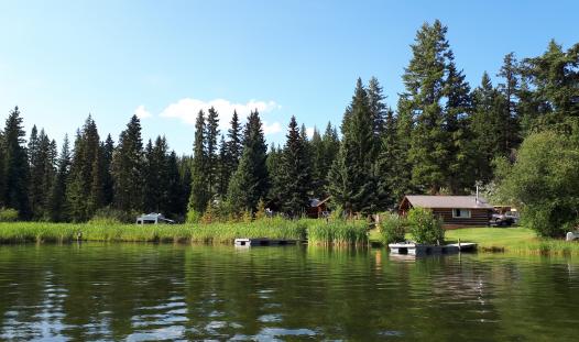 Fawn Lake