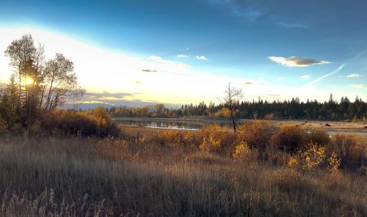Fall Scene