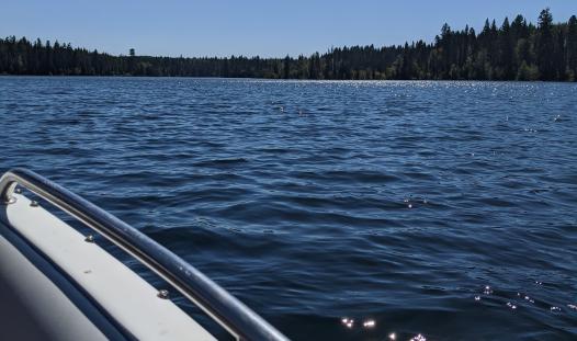 view from boat summer