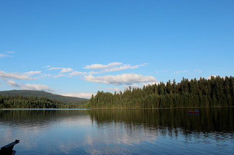 Timothy Lake