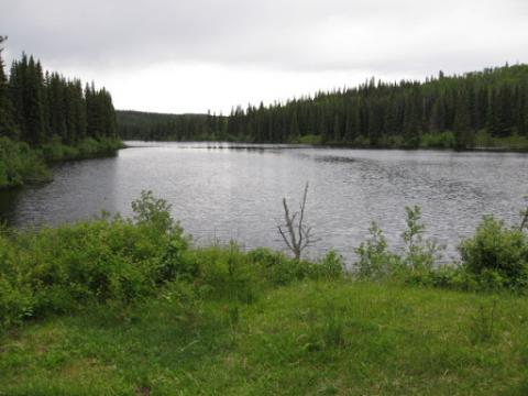 Snag Lake