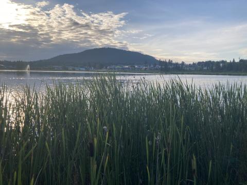 100 Mile Marsh