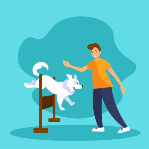 Cariboo Dog Agility